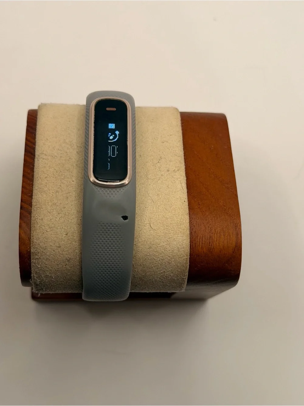 Garmin Vivosmart 4, Tested, Smartwatch, Charger Included, Smartwatch, Fitness